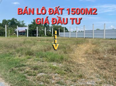 bán lô đất 1500m2-thổ cư-giá đầu tư-gần dự án vinhomes hậu nghĩa. Mua bán đất tại Huyện Đức Hòa Long An được đăng bởi BÁN ĐẤT VƯỜN