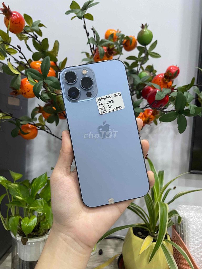 iPhone 13 Pro Max 256GB Xanh dương đẹp 98.5%. Mua bán Điện thoại tại Huyện Hóc Môn Tp Hồ Chí Minh được đăng bởi Luân Hoài hình 1