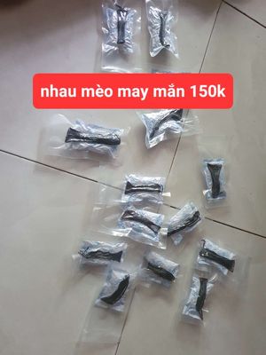Mèo. Mua bán Mèo tại Quận Ninh Kiều Cần Thơ được đăng bởi LỘC PHÁT
