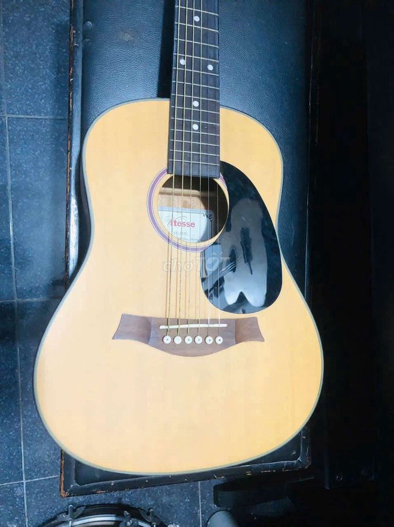 Đàn guitar Acoustic Vitesse Vt-3470