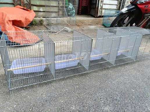 Lồng tắm chim Kim loại Bạc 5 ngăn. Mua bán Phụ kiện, Thức ăn, Dịch vụ tại Thành phố Thủ Đức Tp Hồ Chí Minh được đăng bởi Thuận Đoàn hình 1