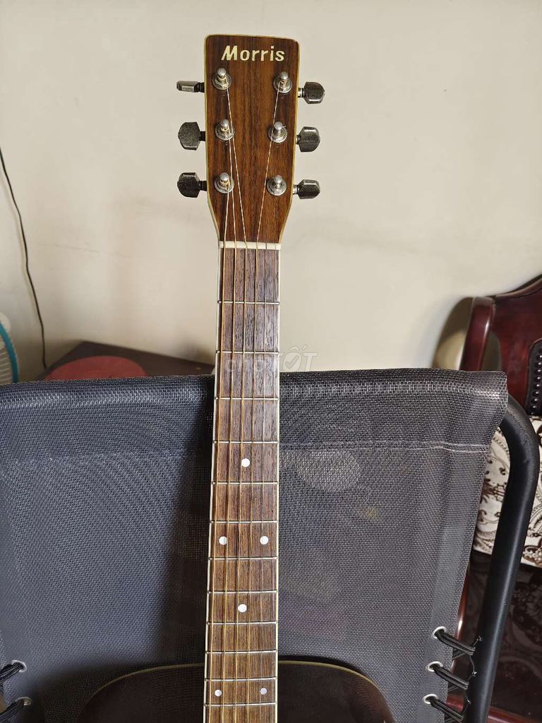 Bán guitar acoustic cao cấp Morris MD-515