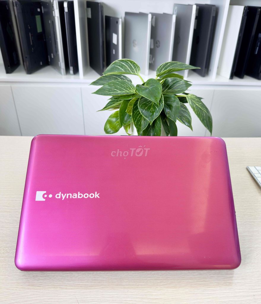 Toshiba Dynabook i7/ram8/ssd256g - hồng xinh iu. Mua bán Laptop tại Quận Hai Bà Trưng Hà Nội được đăng bởi Akiba shop hình 5