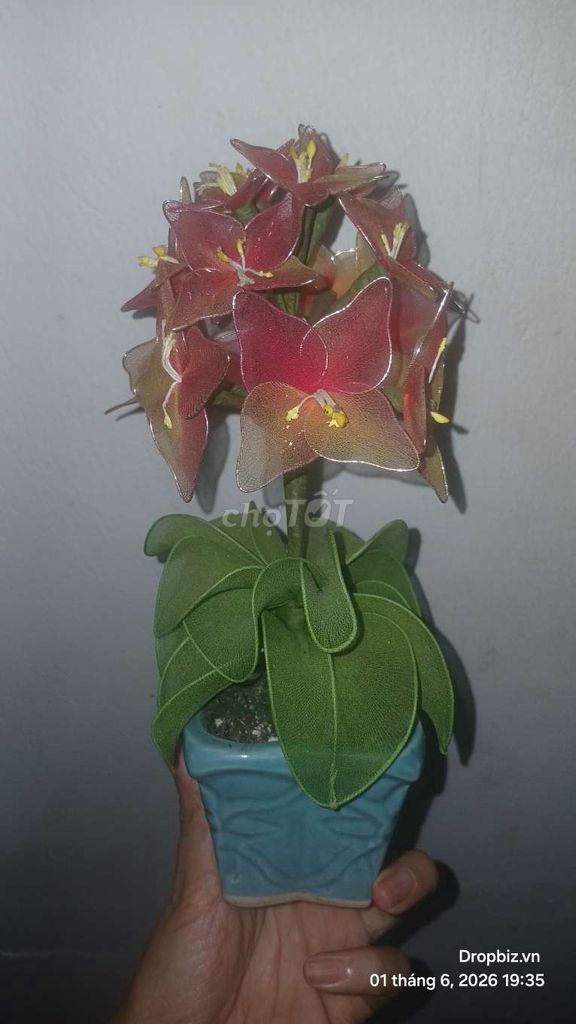Chậu hoa giả Mini Đỏ, vàng, xanh. Mua bán Cây cảnh, đồ trang trí tại Thành phố Buôn Ma Thuột Đắk Lắk được đăng bởi Trần Thị Tâm Anh hình 1