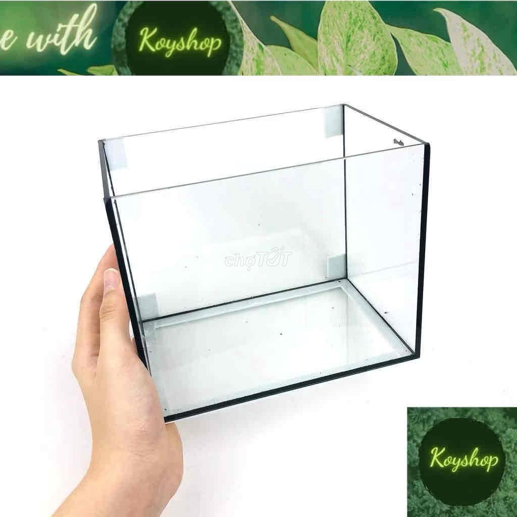 Bể cá mini Kính 10x15x10cm. Mua bán Phụ kiện, Thức ăn, Dịch vụ tại Huyện Cai Lậy Tiền Giang được đăng bởi Nguyễn Thanh Tiểu Hàm hình 1