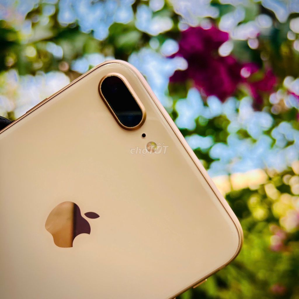 iPhone 8 Plus 256GB Vàng Quốc tế full vân; màn zin. Mua bán Điện thoại tại Thành phố Bến Tre Bến Tre được đăng bởi TN Store hình 1
