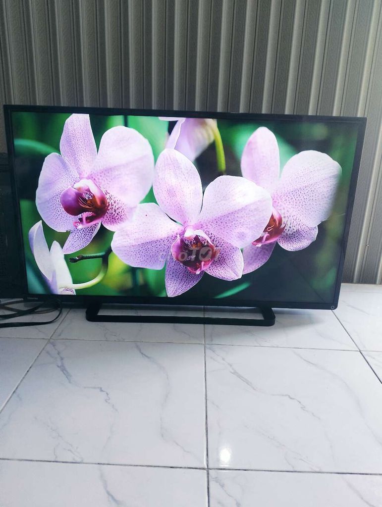 Tivi Toshiba 40 inch Đen HDMI. Mua bán Tivi, Âm thanh tại Thành phố Châu Đốc An Giang được đăng bởi Nguyễn Trí  hình 1