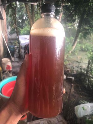 mật ong thiên nhiên. Mua bán Đồ ăn, thực phẩm và các loại khác tại Huyện Cờ Đỏ Cần Thơ được đăng bởi Hữu Thừa 