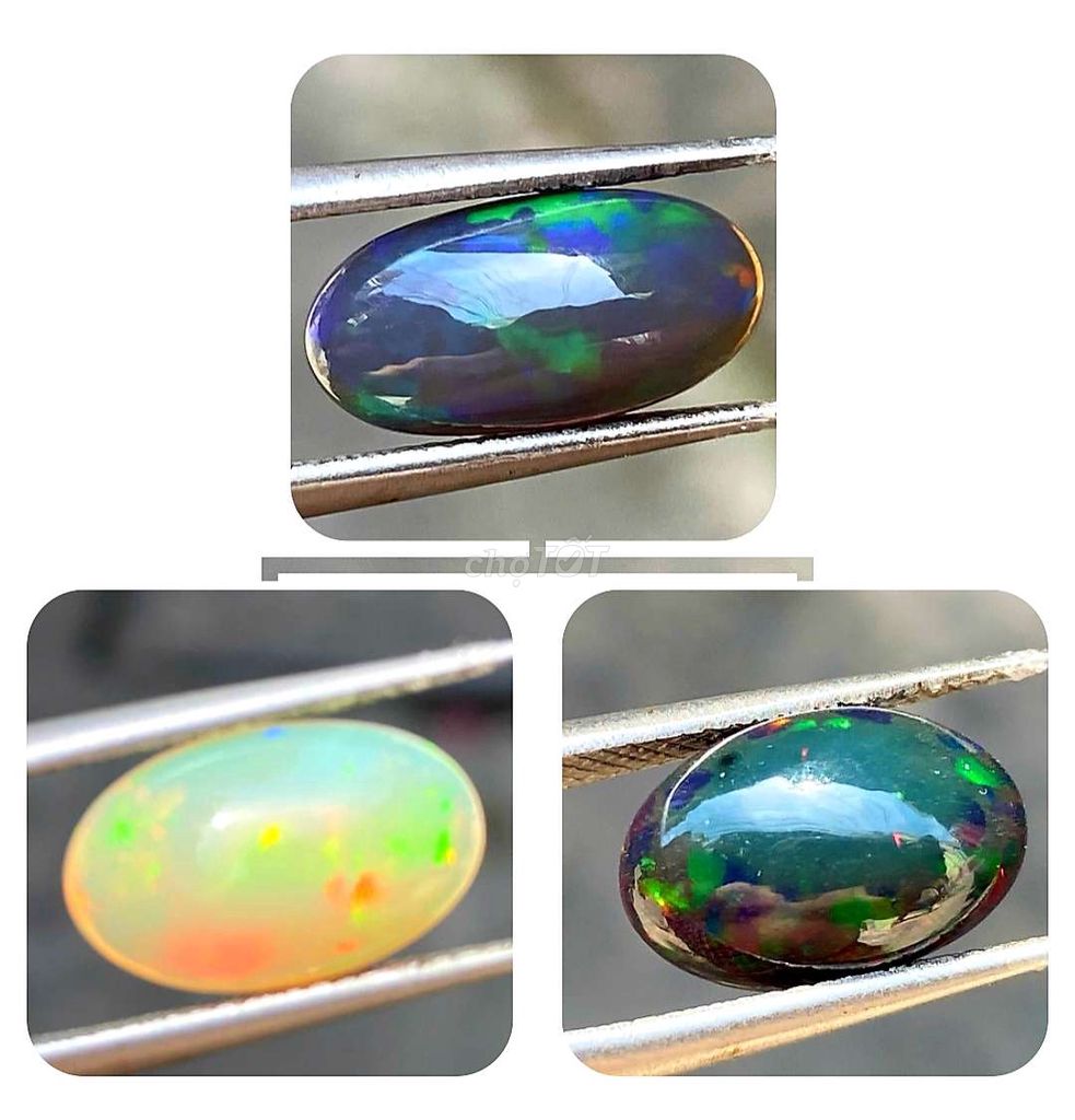 Opal Đen và trắng 3 viên thanh lý siêu rẻ