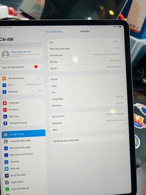 Ipad pro 2019 12.9 inch 1TB wifi