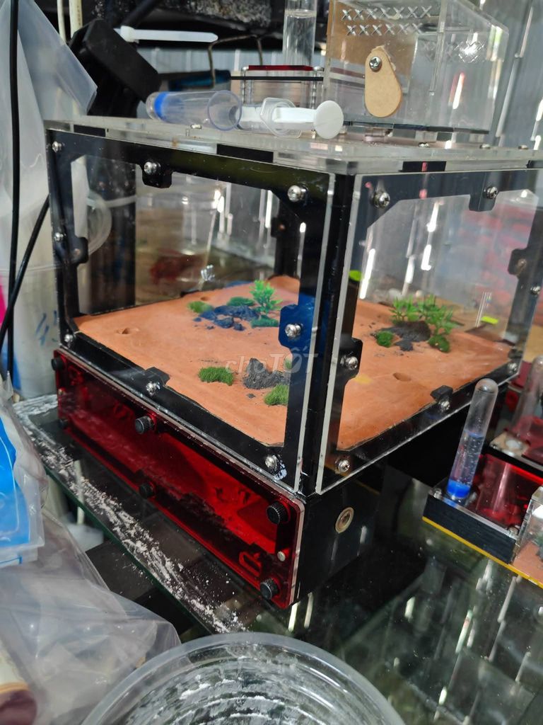 Tank kiến Acrylic Đen, Đỏ mới 98%. Mua bán Phụ kiện, Thức ăn, Dịch vụ tại Quận Hải Châu Đà Nẵng được đăng bởi Phuong Nguyen hình 1