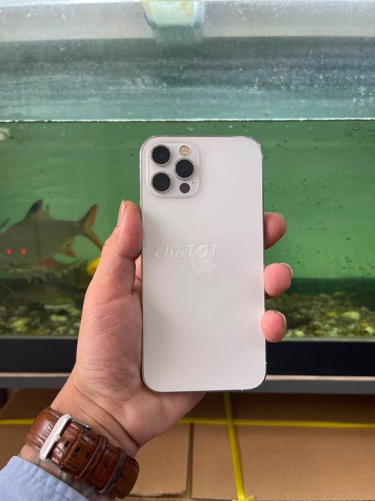 Apple iPhone 12 Pro 128GB Trắng. Mua bán Điện thoại tại Thành phố Thủ Đức Tp Hồ Chí Minh được đăng bởi Hội Đồ Điện Tử hình 1