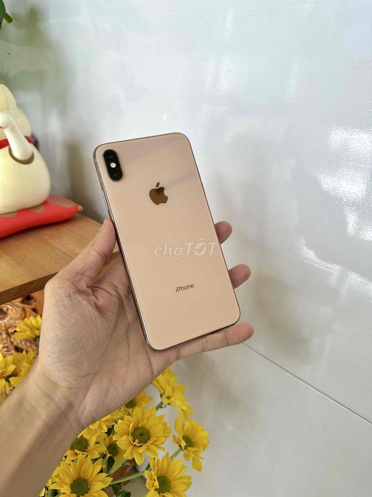 Apple iPhone XS Max 64GB Vàng Đã sử dụng. Mua bán Điện thoại tại Thành phố Long Xuyên An Giang được đăng bởi phong LX  hình 1