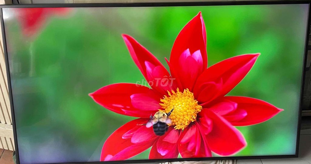 Smart Tivi Samsung 49 inch wifi Internet .. Mua bán Tivi, Âm thanh tại Thành phố Thủ Đức Tp Hồ Chí Minh được đăng bởi Anh thợ hồ hình 1