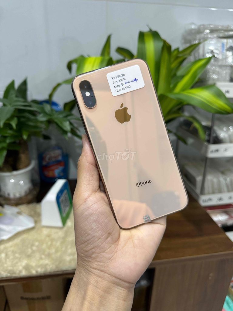 Apple iPhone Xs 256GB Vàng. Mua bán Điện thoại tại Huyện Hóc Môn Tp Hồ Chí Minh được đăng bởi Thu hình 1