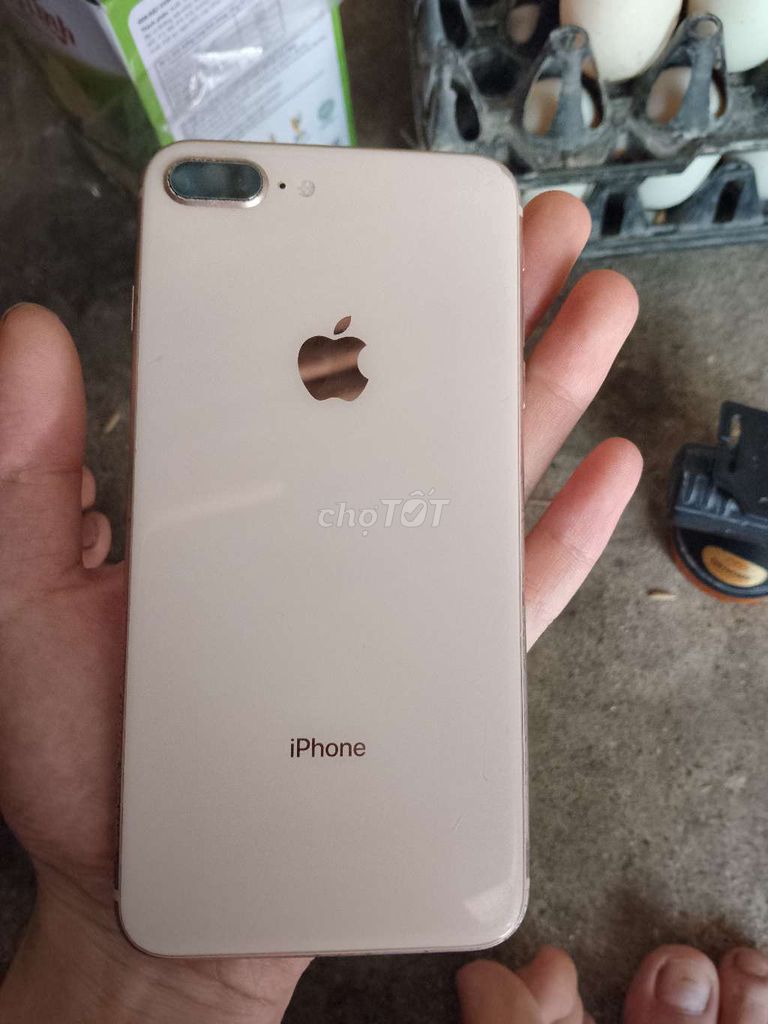 iPhone 8 Plus Vàng đồng. Mua bán Điện thoại tại Huyện Gia Lâm Hà Nội được đăng bởi Huy Hh hình 1