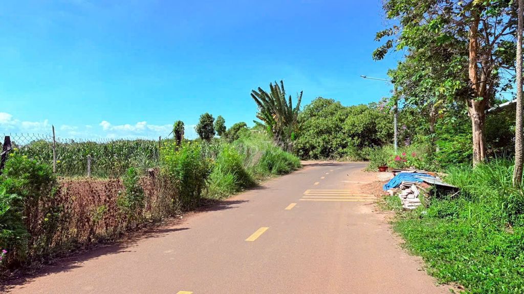 LONG TÂN - LONG ĐẤT - BRVT- ngay gần Tỉnh Lộ 52, khu nhiều nhà vườn ạ. Mua bán đất tại Huyện Đất Đỏ Bà Rịa - Vũng Tàu được đăng bởi Nam Cường hình 2