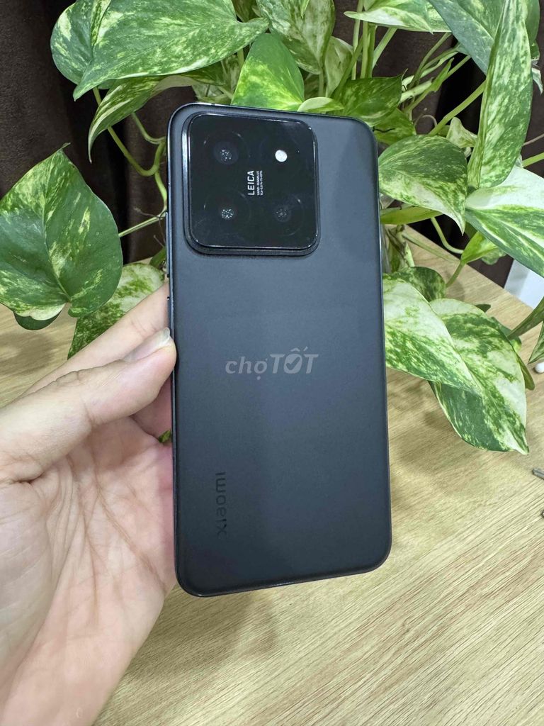 Xiaomi 14 12GB/256GB zin áp Quốc Tế CÓ COD - GÓP. Mua bán Điện thoại tại Quận Hoàng Mai Hà Nội được đăng bởi Gia Vinh hình 1