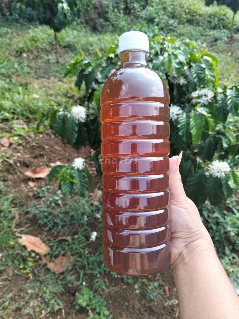 Mật ong hoa cà phê Lâm Đồng 1 lít. Mua bán Đồ ăn, thực phẩm và các loại khác tại Thành phố Dĩ An Bình Dương được đăng bởi Lê nguyễn Khánh Ngọc hình 1