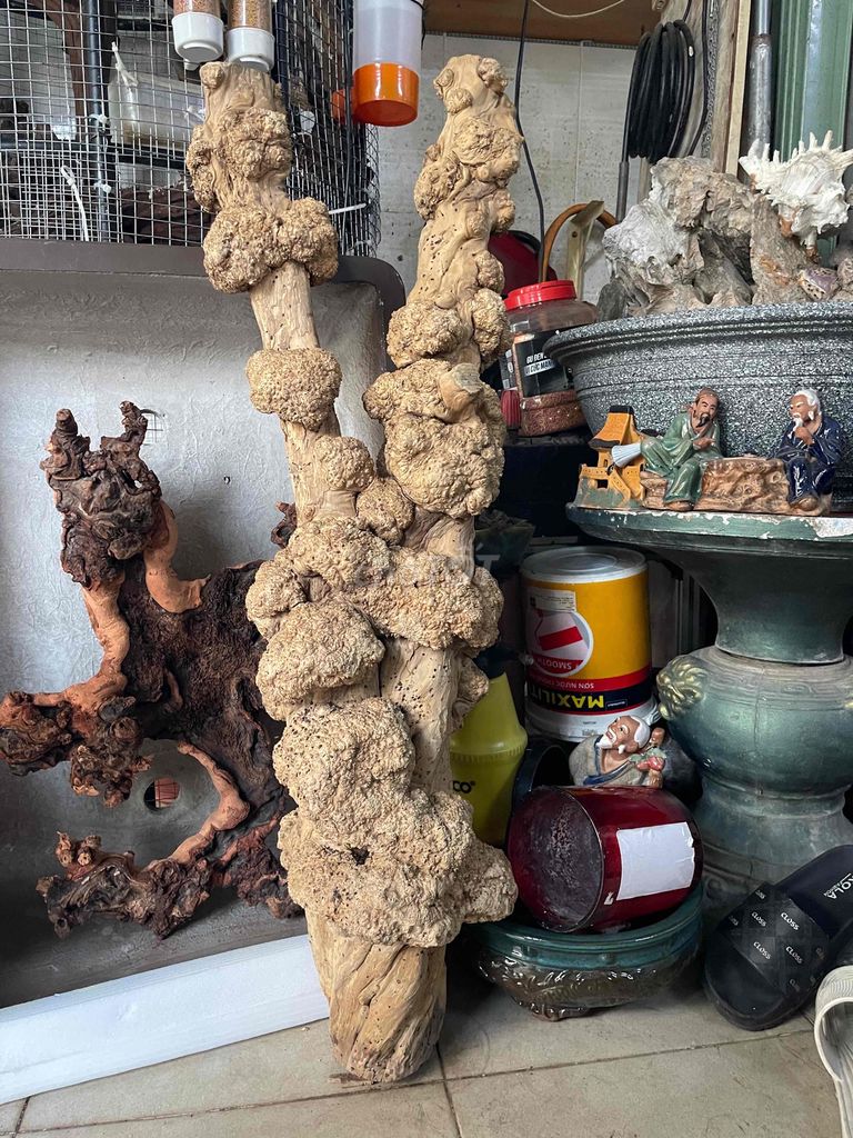 Nu cafe dùng trang trí quán hoặc làm chân bàn