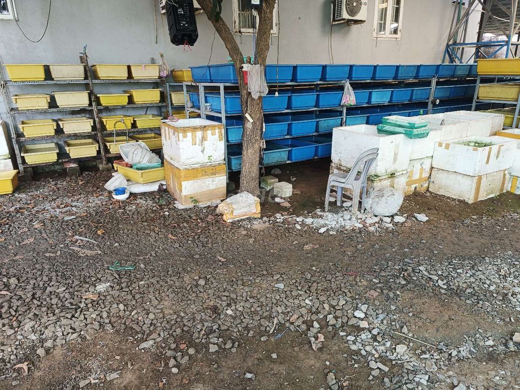 Dịch vụ cho thuê trang trại An Giang. Dịch vụ tại Thành phố Long Xuyên An Giang được đăng bởi Quý  hình 1
