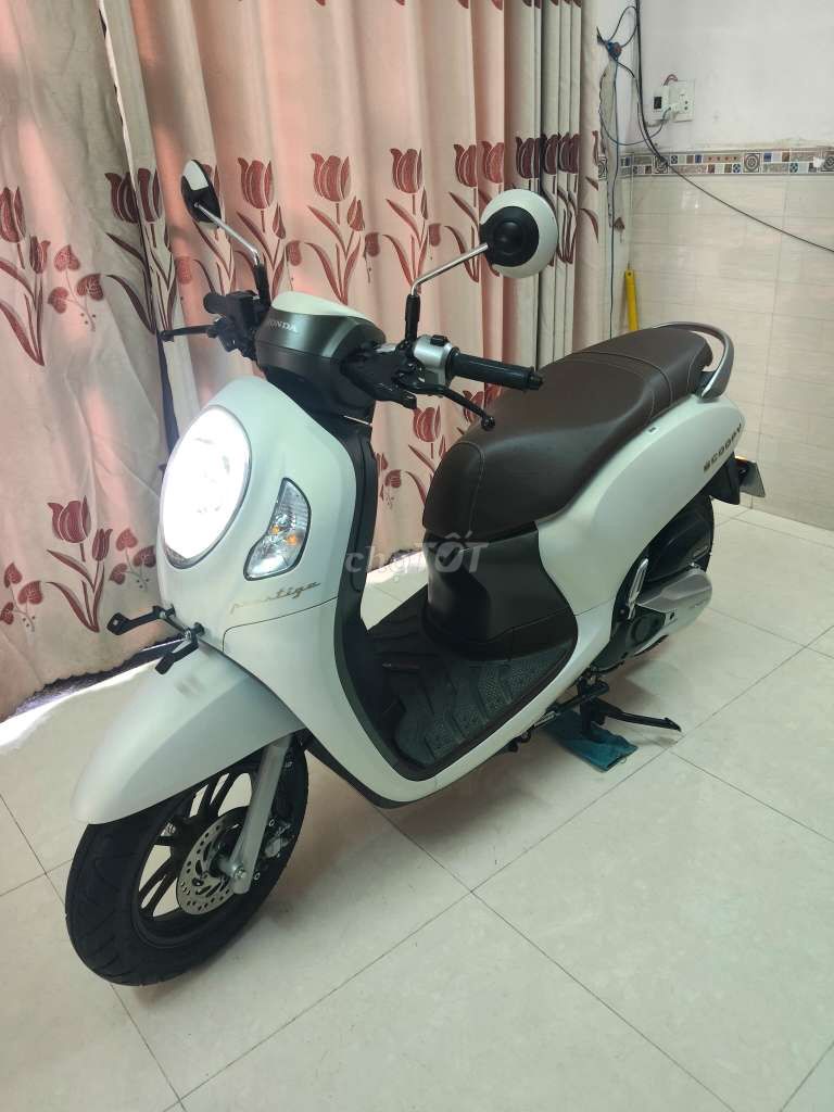 Honda Scoopy 2024 chính chủ mới như xe hãng 99%. Mua bán Xe máy tại Quận Gò Vấp Tp Hồ Chí Minh được đăng bởi Mr Lam hình 21