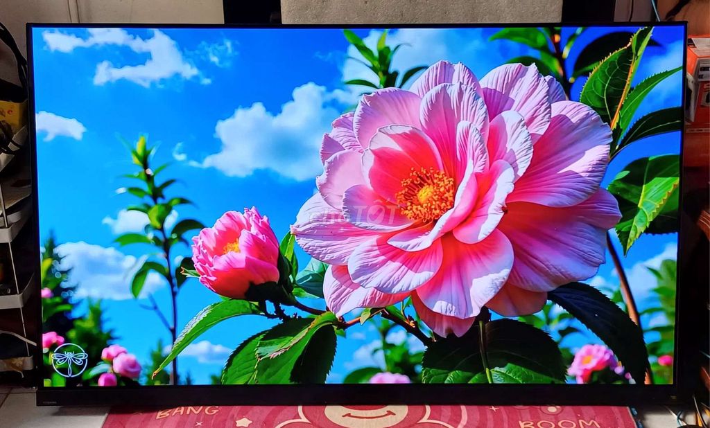 Smart tivi Oled 65 inch 4k Toshiba đời 2022