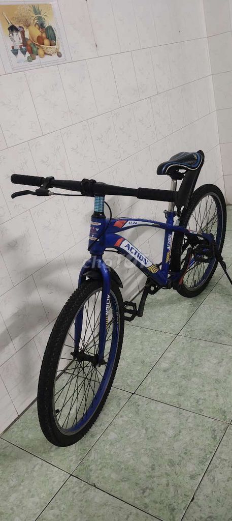 Cần bán xe đạp Action 24 inch