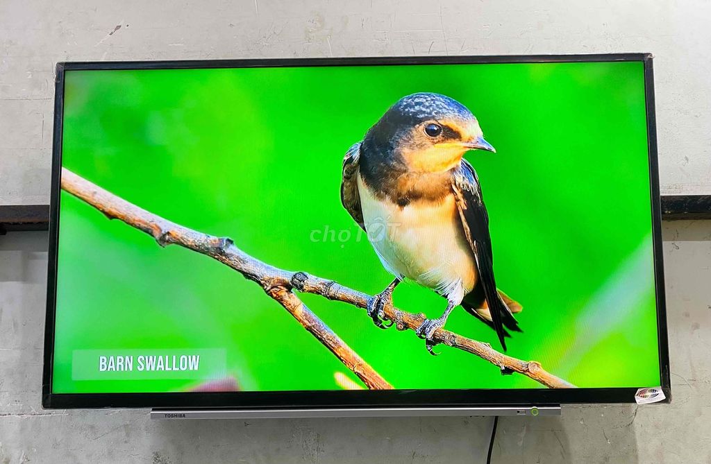 Tivi Toshiba 40 inch đã dùng. Mua bán Tivi, Âm thanh tại Quận Hoàng Mai Hà Nội được đăng bởi Bảo Hiền hình 1