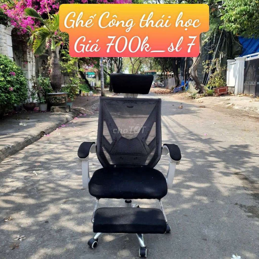 Ghế công thái học xả kho sl 7 giá 700 cành tphcm