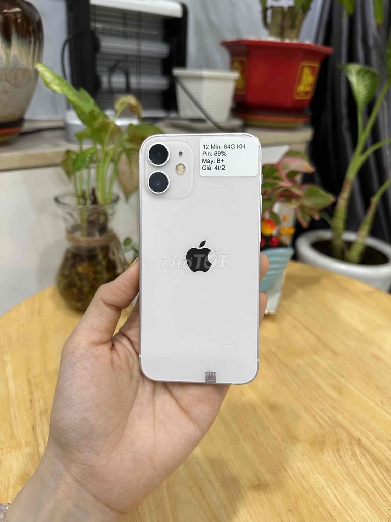 Apple iPhone 12 Mini 64GB Trắng IOS 18.4. Mua bán Điện thoại tại Huyện Hóc Môn Tp Hồ Chí Minh được đăng bởi SIRI STORE HCM hình 1