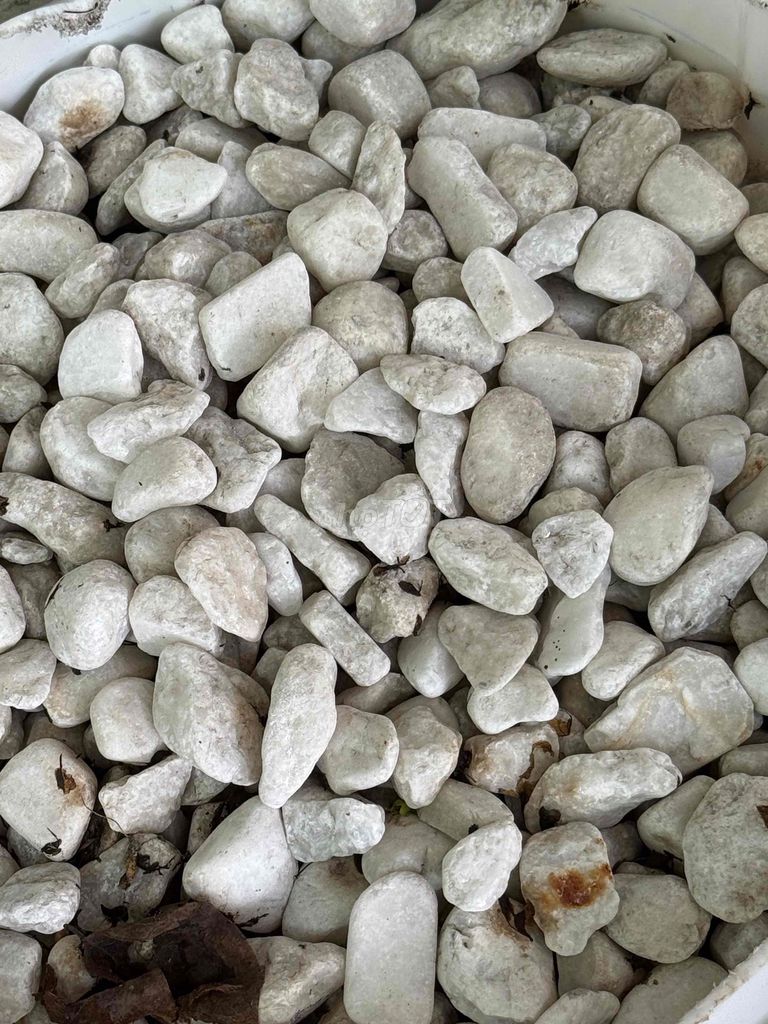 Đá, sỏi trang trí. Mua bán Cây cảnh, đồ trang trí tại Thành phố Thủ Đức Tp Hồ Chí Minh được đăng bởi Tuấn hình 1