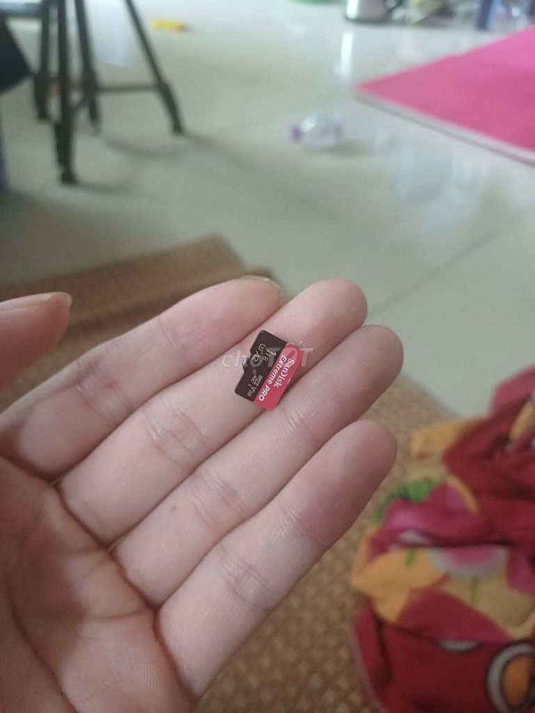 Thanh Lý Thẻ nhớ Sandisk Extreme Pro 1TB V30 U3. Mua bán Phụ kiện (Màn hình, Chuột...) tại Quận 8 Tp Hồ Chí Minh được đăng bởi Quân Photo hình 1