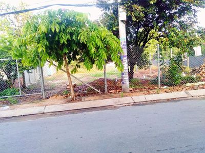 Đất 312 m² · Đường Trần Văn Chầm