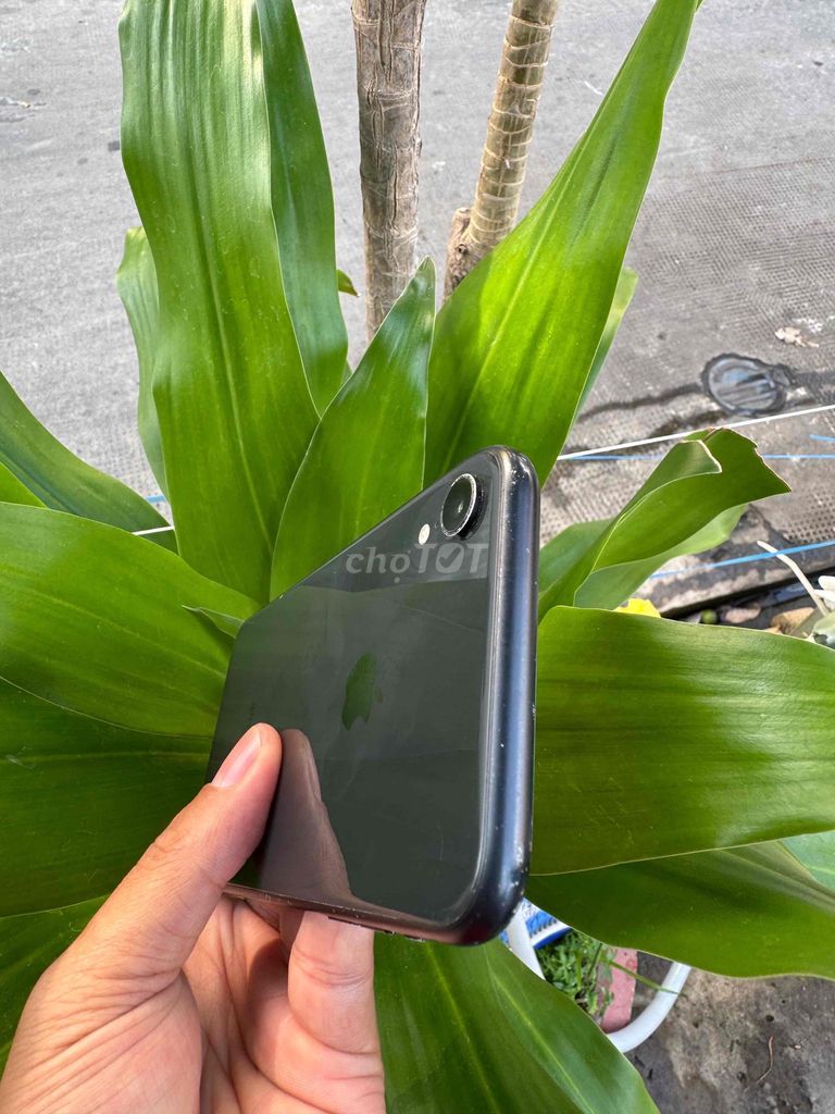 iPhone XR 128GB ZIN Full Chức Năng. Mua bán Điện thoại tại Quận Ninh Kiều Cần Thơ được đăng bởi phan Nhân  hình 1