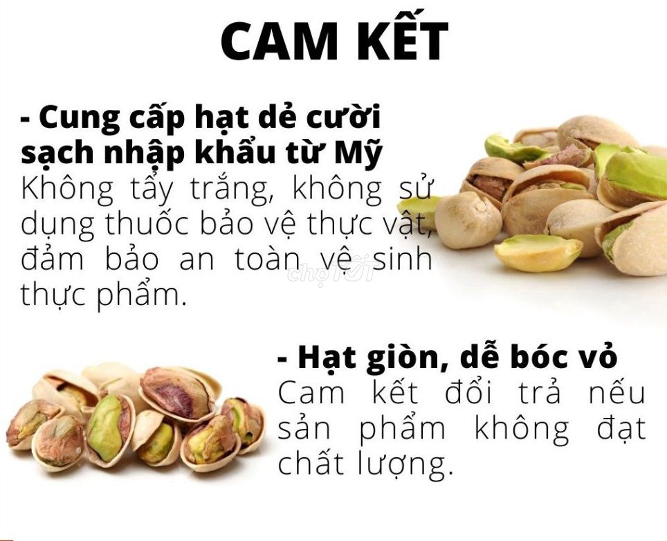 Hạt dẻ cười tròn đều, chắc hạt.(Loại ko tẩy trắng)