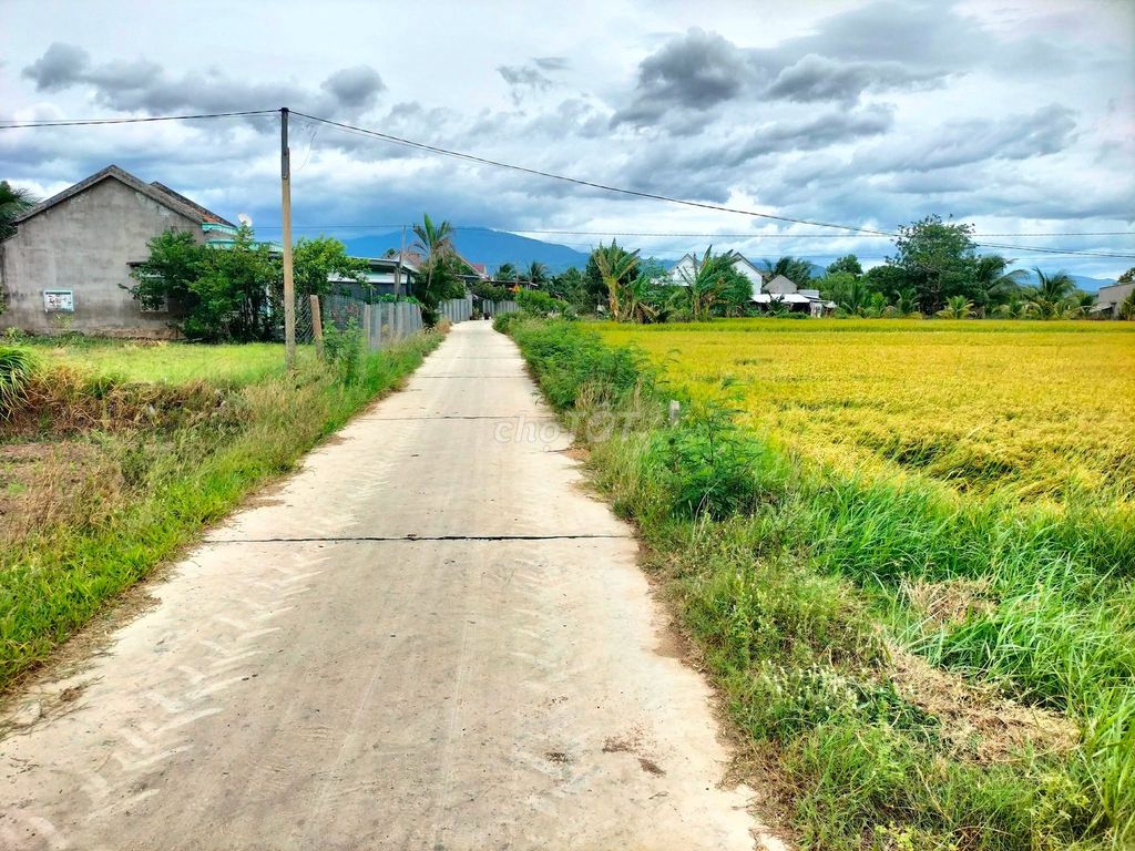 Bán đất 250m2 Nam Vân Phong, Ninh An
