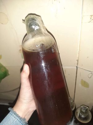Mật ong vườn nhà nguyên chất. Mua bán Đồ ăn, thực phẩm và các loại khác tại Thành phố Biên Hòa Đồng Nai được đăng bởi hồ ngọc thị thúy