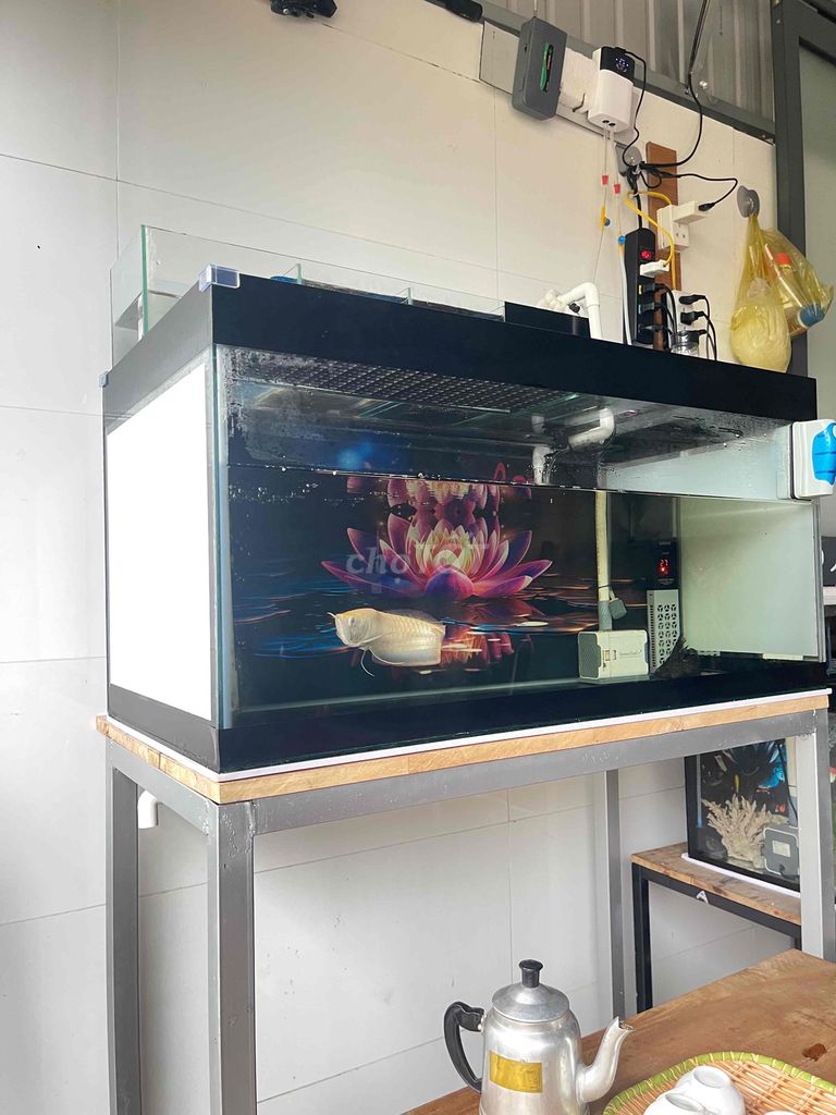 Hồ cá cảnh Kính 80x40x40cm. Mua bán Phụ kiện, Thức ăn, Dịch vụ tại Thị xã Bến Cát Bình Dương được đăng bởi susu hình 1