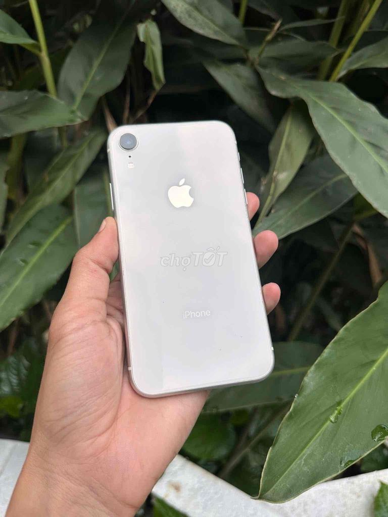 Apple iPhone XR 64GB Bạc Đã sử dụng. Mua bán Điện thoại tại Thị xã Cai Lậy Tiền Giang được đăng bởi Nghĩa hình 1