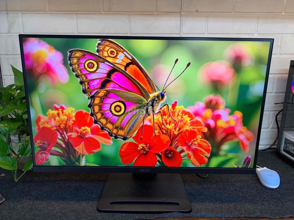 Mới Nhập được Màn MSI 2K 100hz New trôi bảo hành. Mua bán Phụ kiện (Màn hình, Chuột...) tại Quận Phú Nhuận Tp Hồ Chí Minh được đăng bởi tiến tài 770 nguyễn kiệm p4 quận phú nhuận hình 1