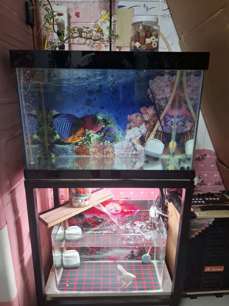 Hồ cá 50x30x35 cm có máy bơm. Mua bán Thú cưng khác tại Quận Bình Tân Tp Hồ Chí Minh được đăng bởi Quân Võ hình 1
