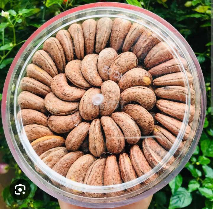 Hạt điều rang muối loại A. Mua bán Đồ ăn, thực phẩm và các loại khác tại Huyện Bù Đăng Bình Phước được đăng bởi Kim hình 1