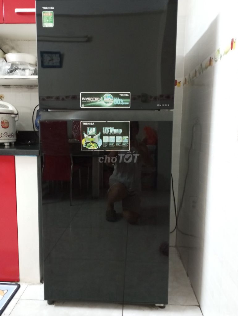 Bán tủ lạnh Toshiba inverter 359 lít, còn mới 95%