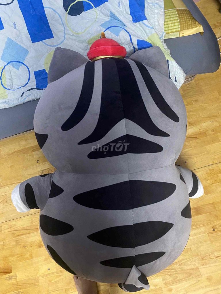 Mèo bông quàng thượng size to bự
