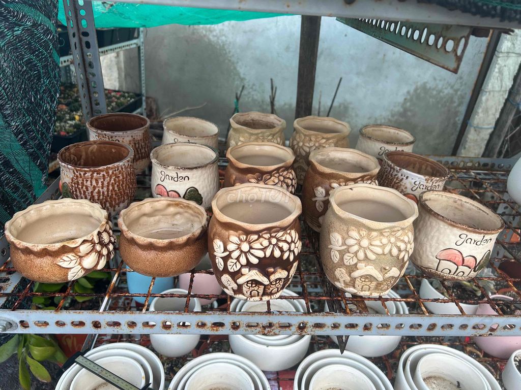 Chậu cây cảnh gốm sứ nhiều màu. Mua bán Cây cảnh, đồ trang trí tại Thành phố Phan Rang-Tháp Chàm Ninh Thuận được đăng bởi Nguyễn Hùng hình 1