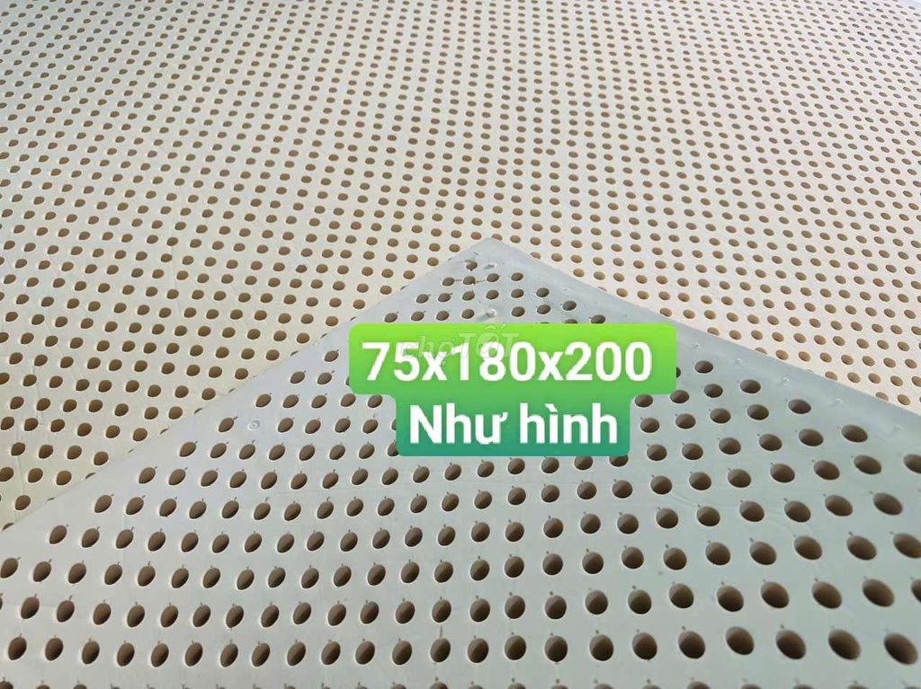NỆM VẠN THÀNH DÀY 7,5CM FREE SHIP. Mua bán Giường, chăn ga gối nệm tại Huyện Chợ Lách Bến Tre được đăng bởi MỘC SLEEP  hình 1