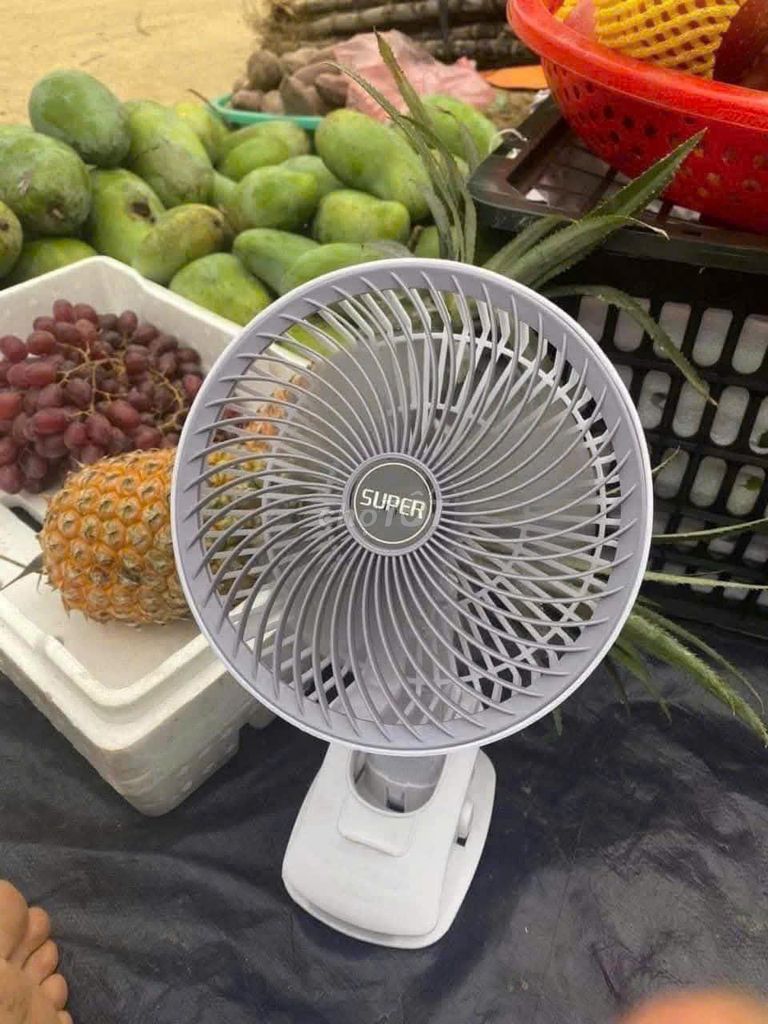 Quạt điện Super Trắng Có kẹp. Mua bán Quạt tại Quận 7 Tp Hồ Chí Minh được đăng bởi Nga Nguyễn hình 1