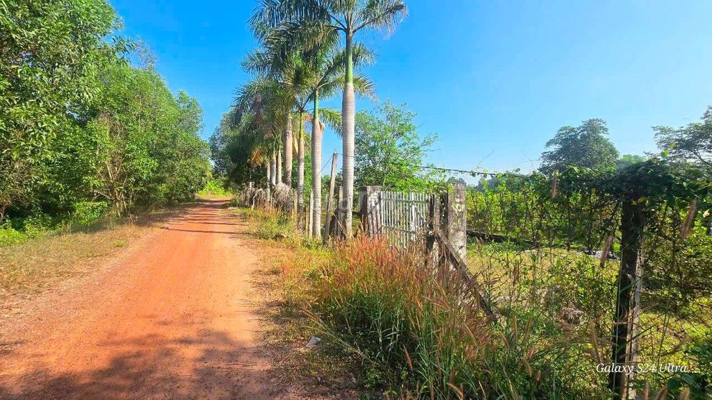 Bán vườn tại xã An Phú, Củ Chi, TPHCM 5,3 tỷ, 2861 m2 , thổ cư 95,6 m2