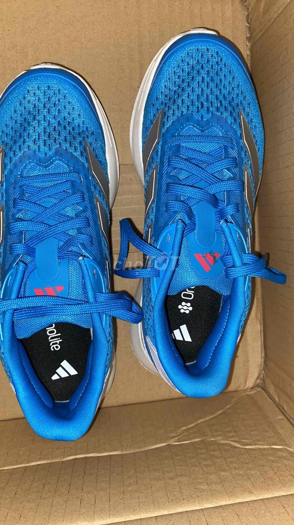 Giày thể thao Adidas Duramo SL2 Xanh da trời 39. Mua bán Giày dép tại Huyện Đan Phượng Hà Nội được đăng bởi Nguyen Dinh Hoan hình 1